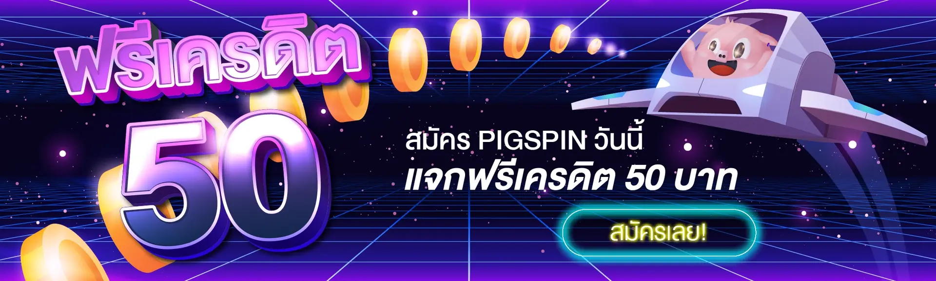 พิกสปิน banner4